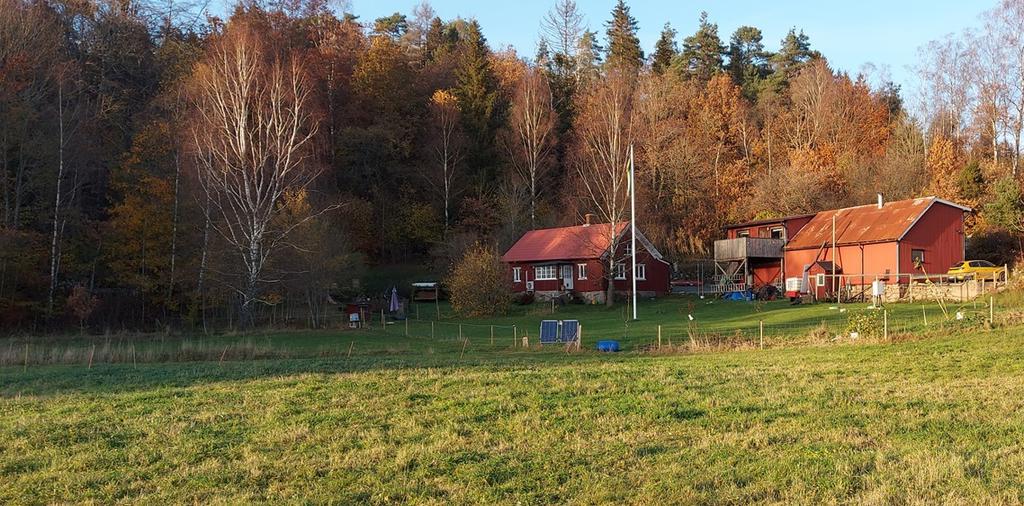 Säljarens bild