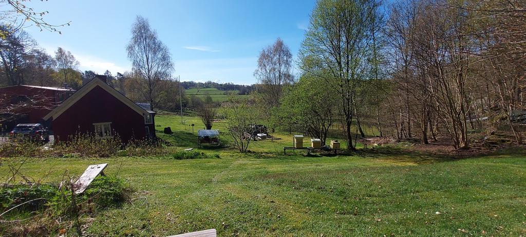 Säljarens bild