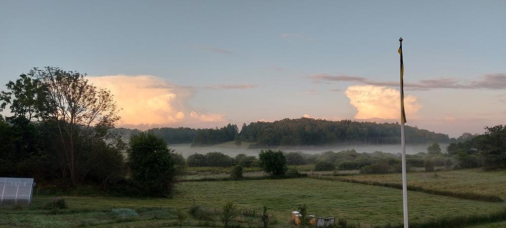 Säljarens bild