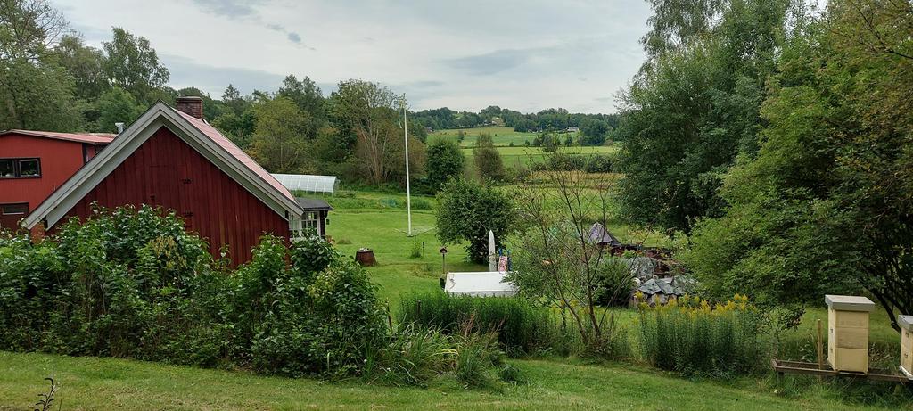 Säljarens bild