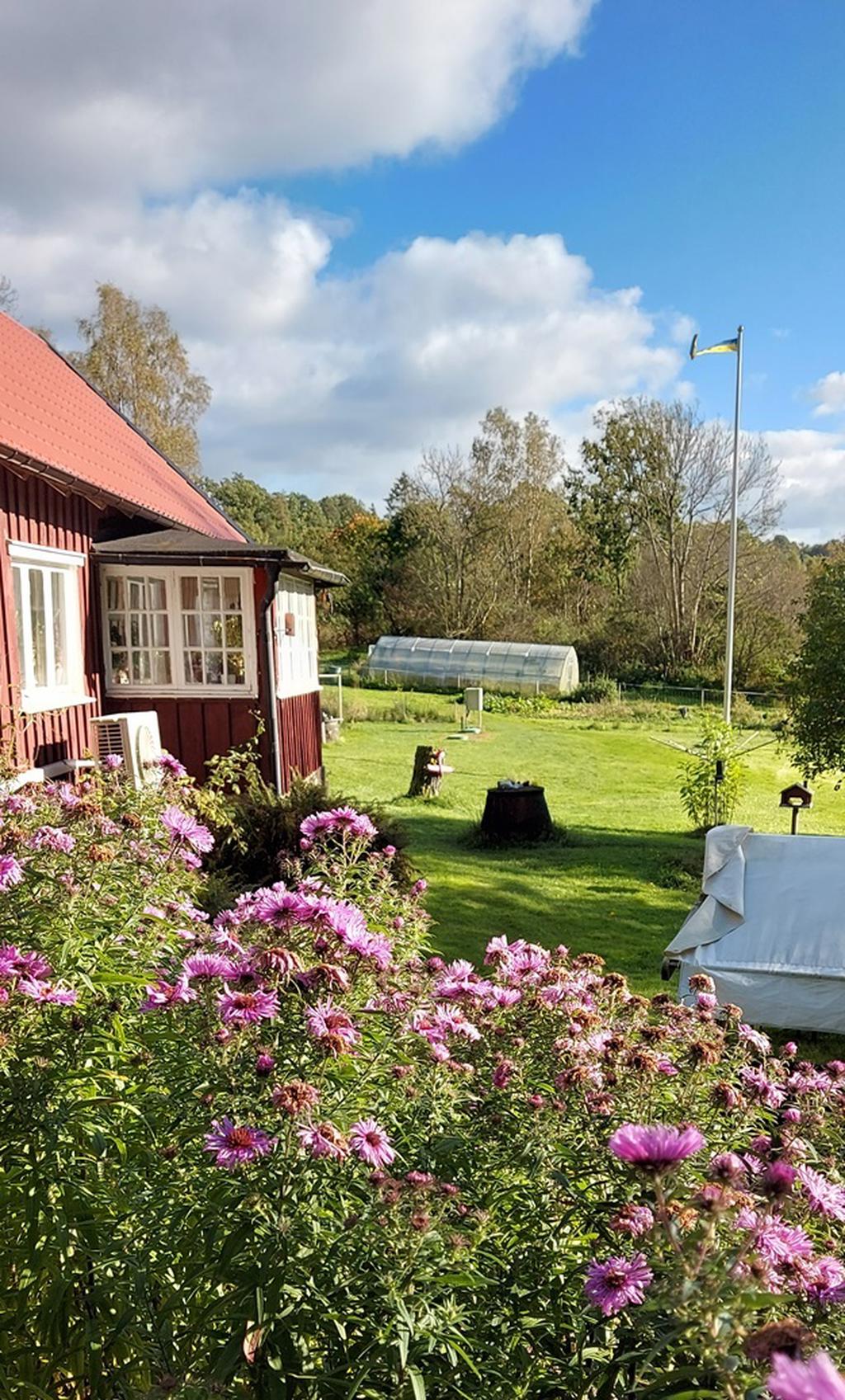 Säljarens bild