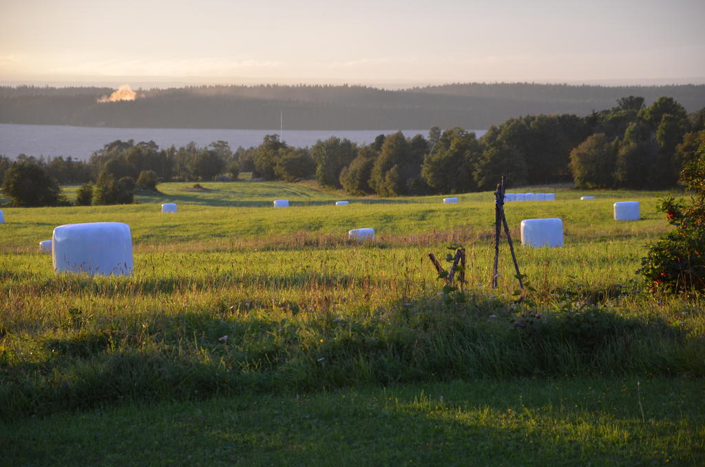 Säljarens egna bild