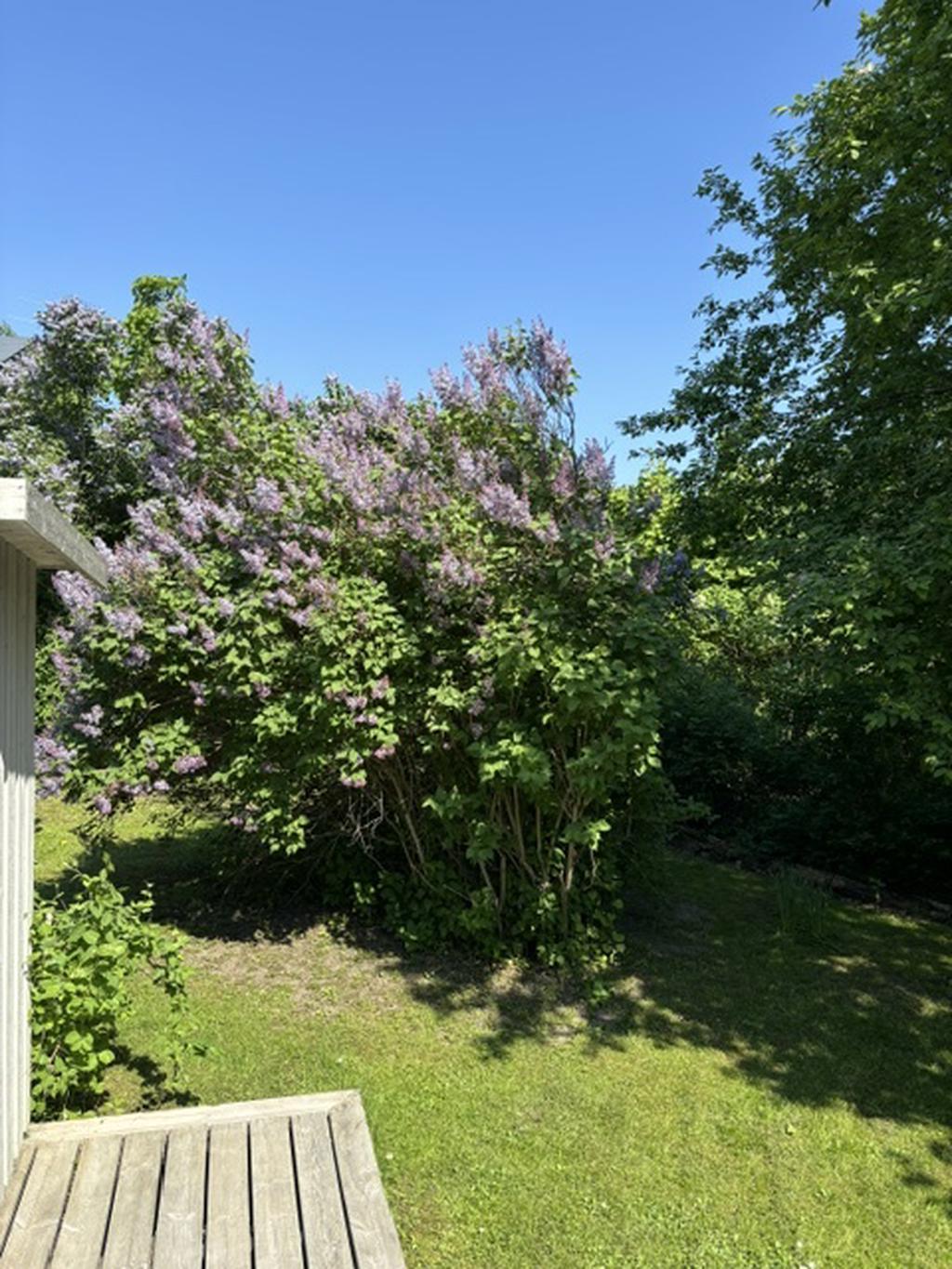 Säljarens sommarbilder