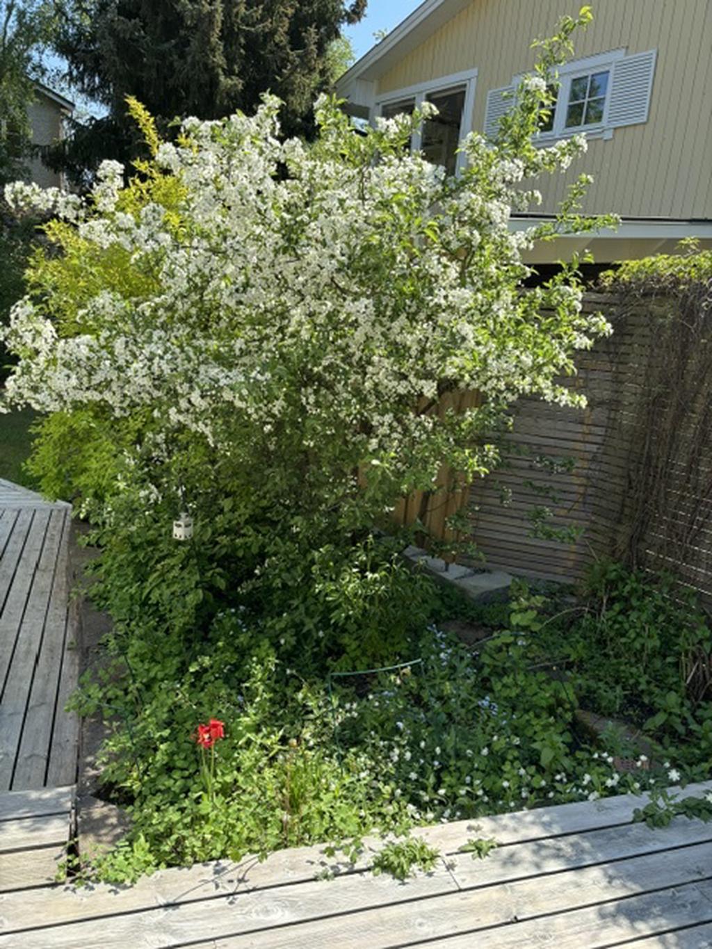Säljarens sommarbilder