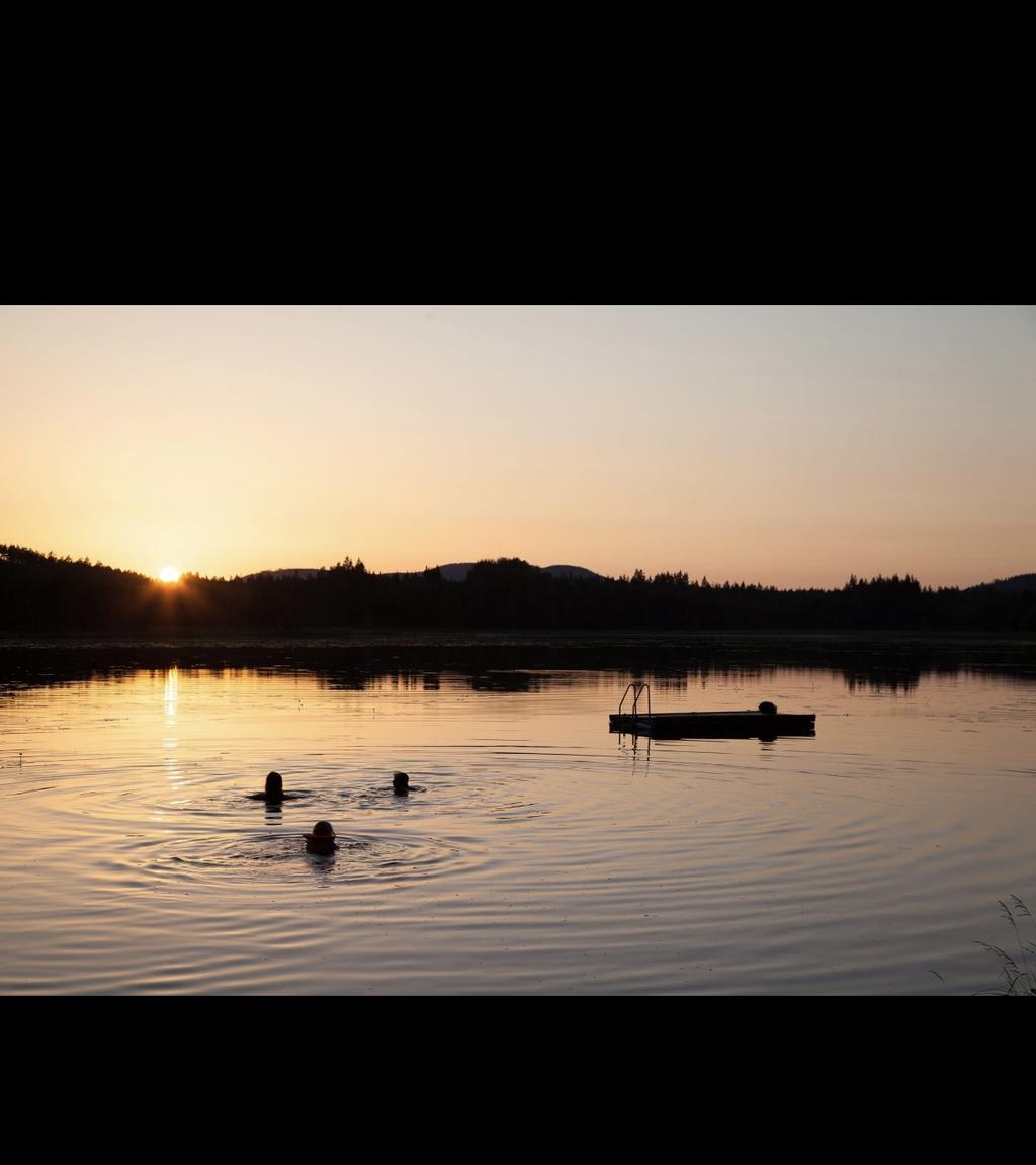 Säljarens egna bilder