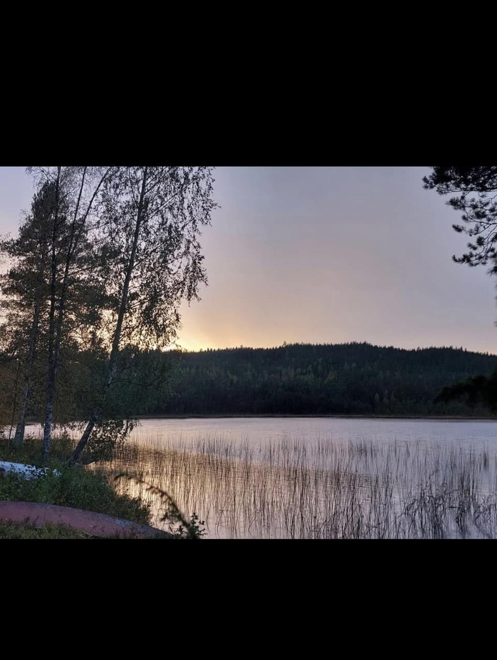 Säljarens egna bilder