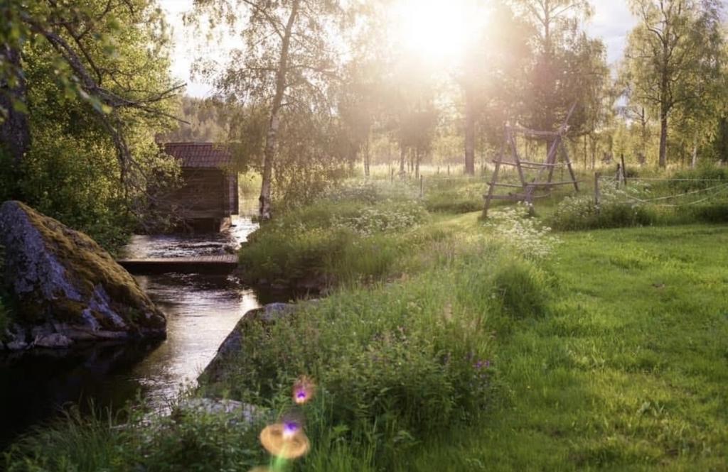 Säljarens egna bilder