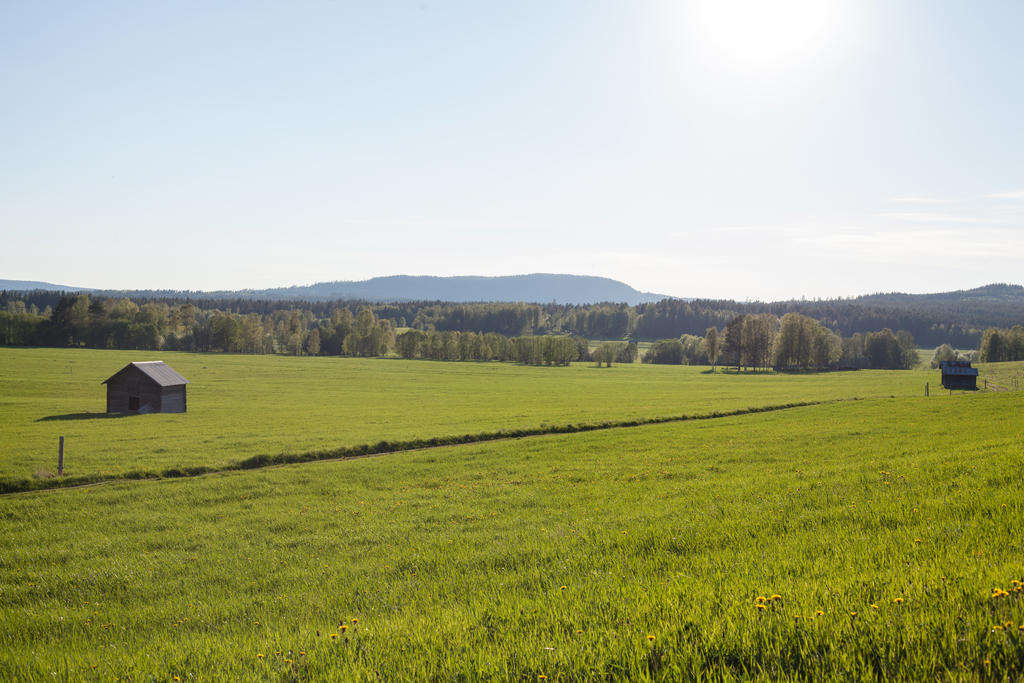 Säljarens egna bilder