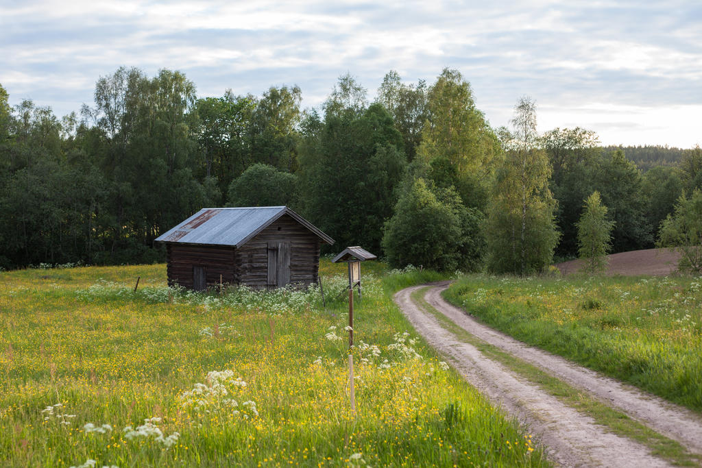 Säljarens egna bilder