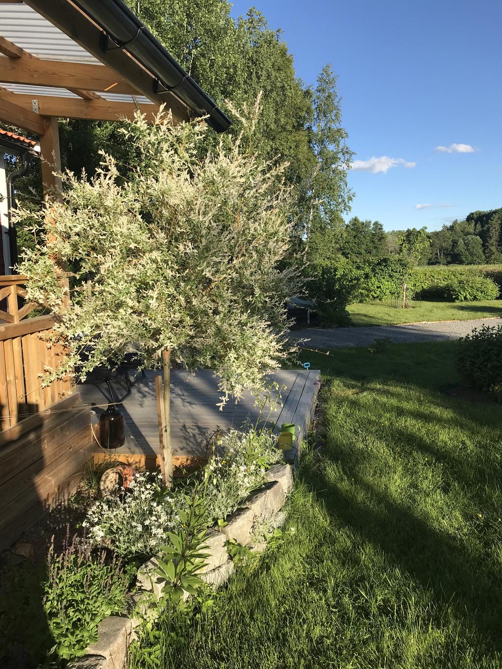 Säljarens privata bild.