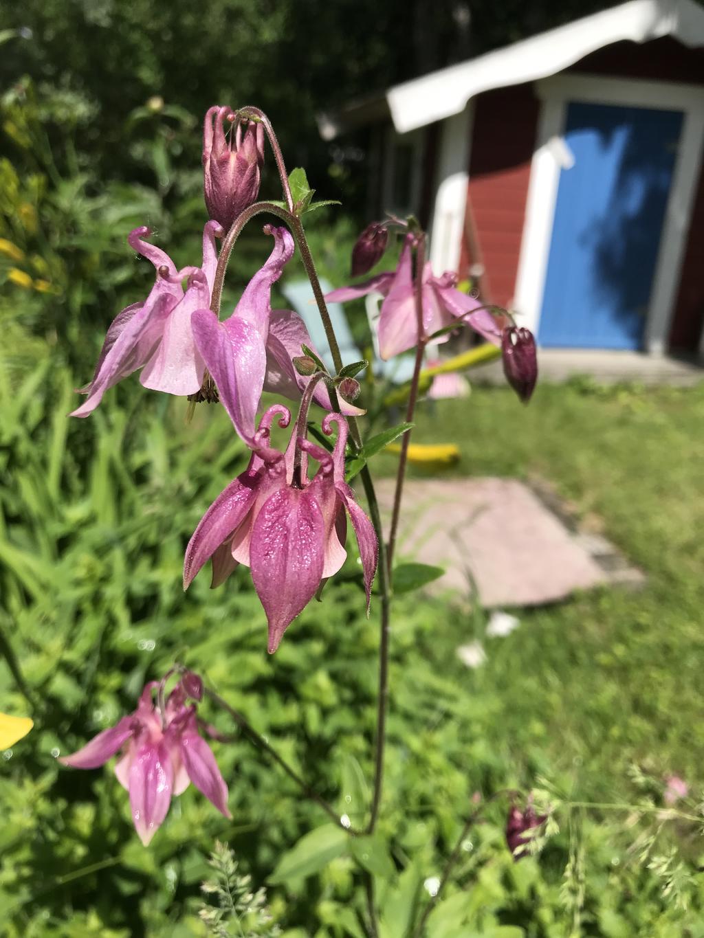 Säljarens privata bild.