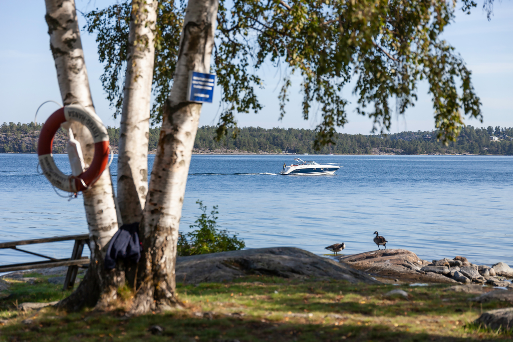 "Vy med en kopp kaffe i handen"