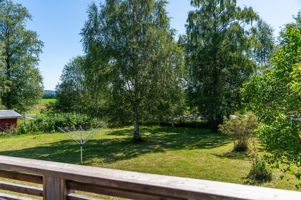 Utsikt över den inhägnade trädgården