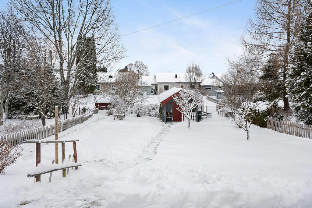 Trädgård