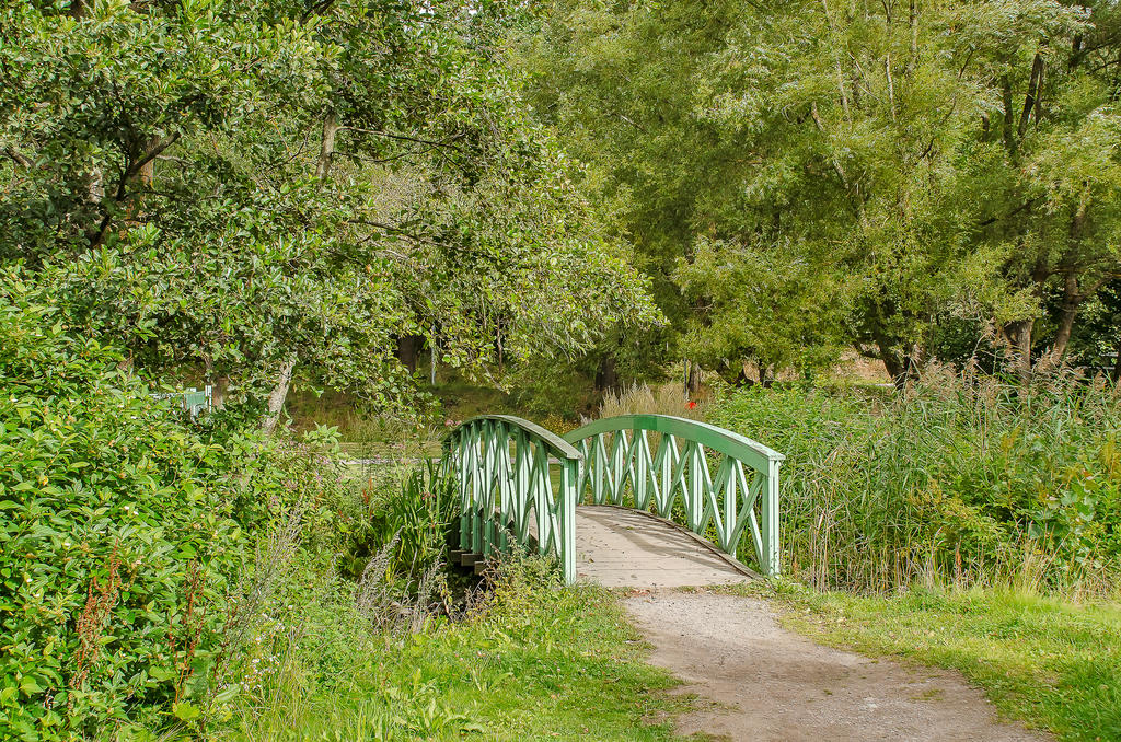 Vackra promenadstråk i omgivningen,