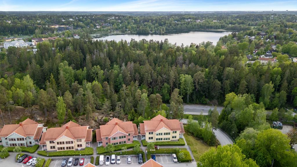 Drönarbild