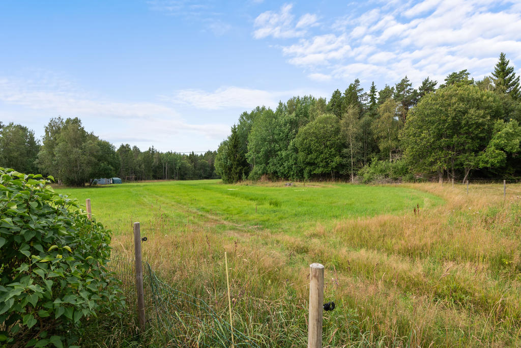 Vidsträckt utsikt över ängsmark