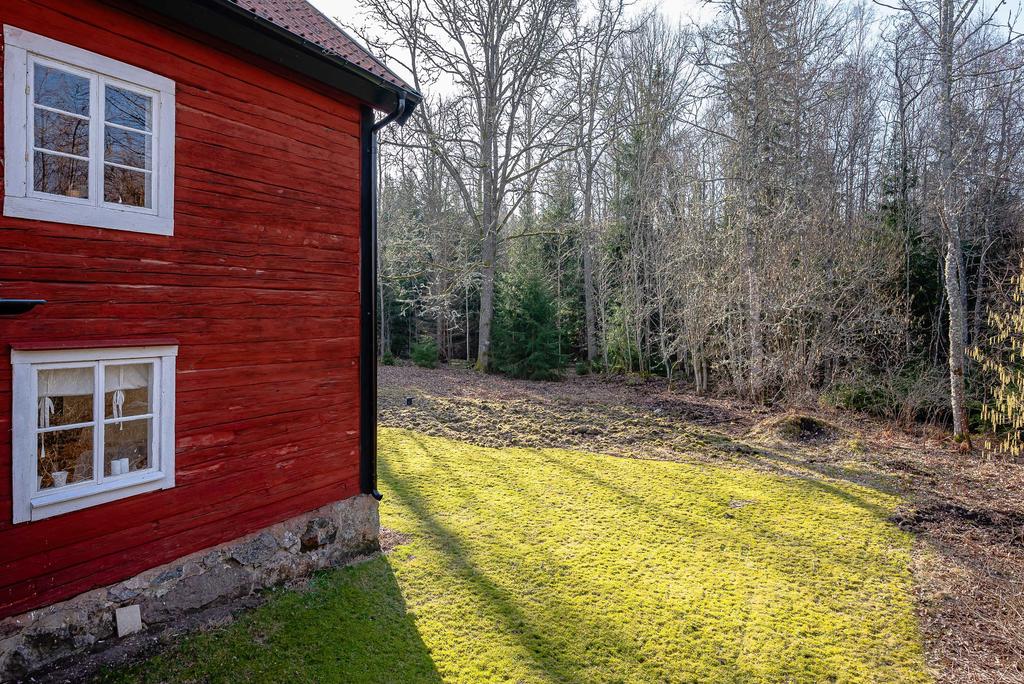 Skogen som närmsta granne