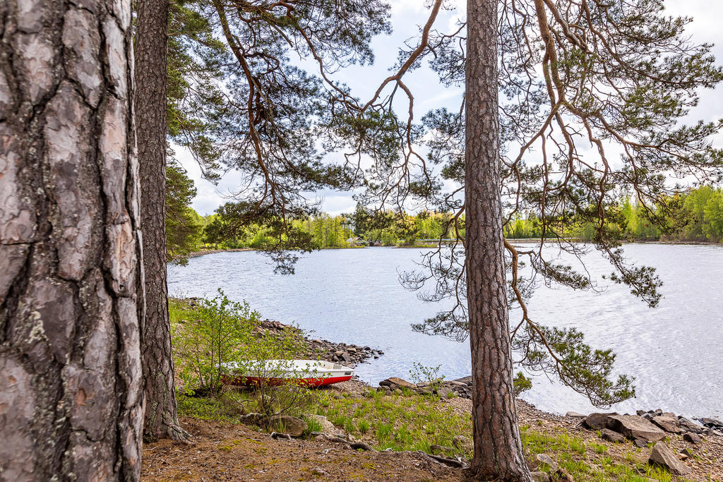 Miljöbild nere vid sjön