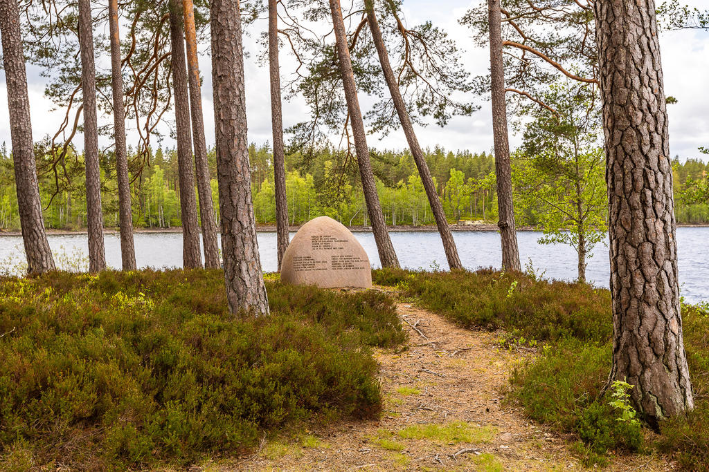 Miljöbild nere vid sjön