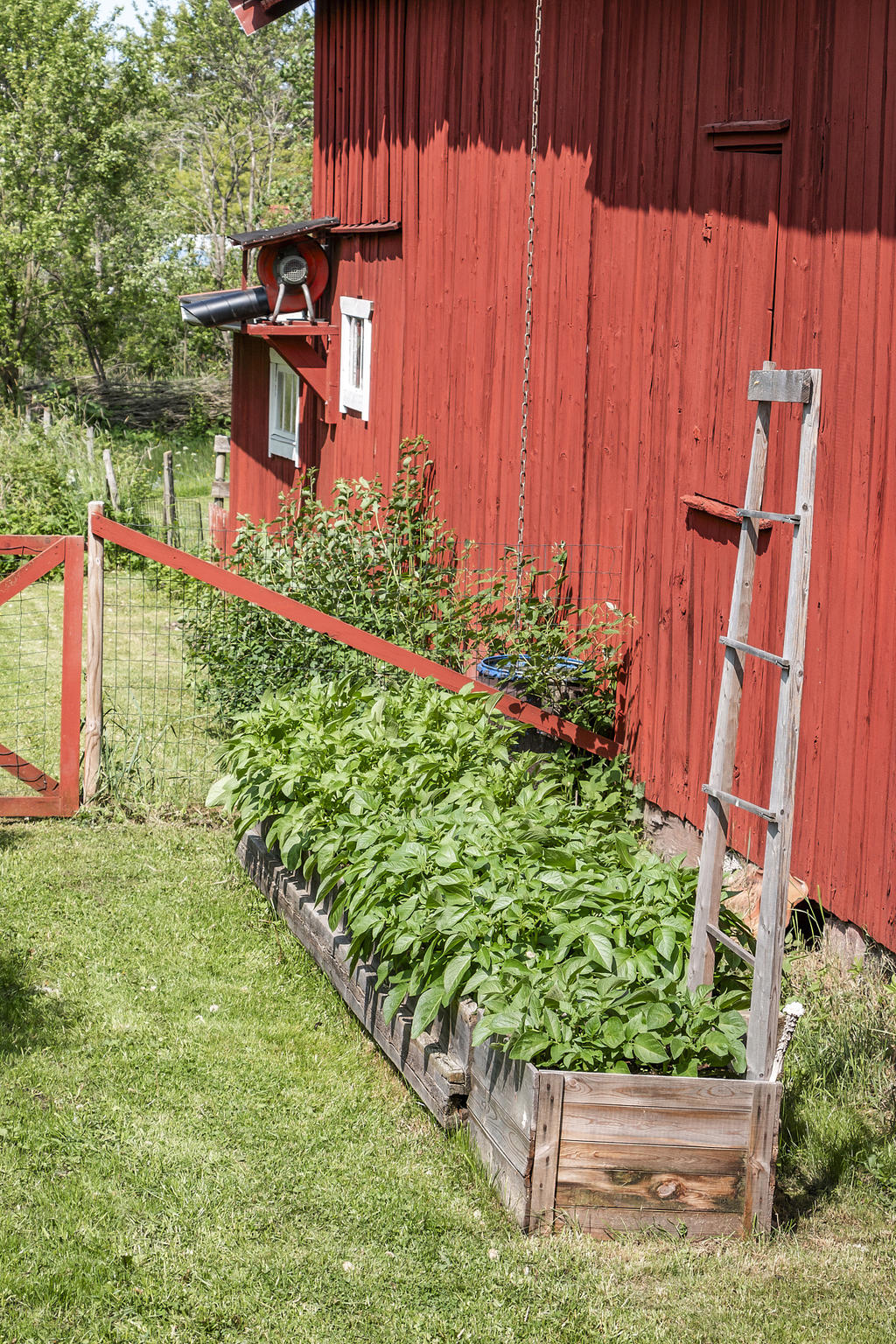 Odlingslådor