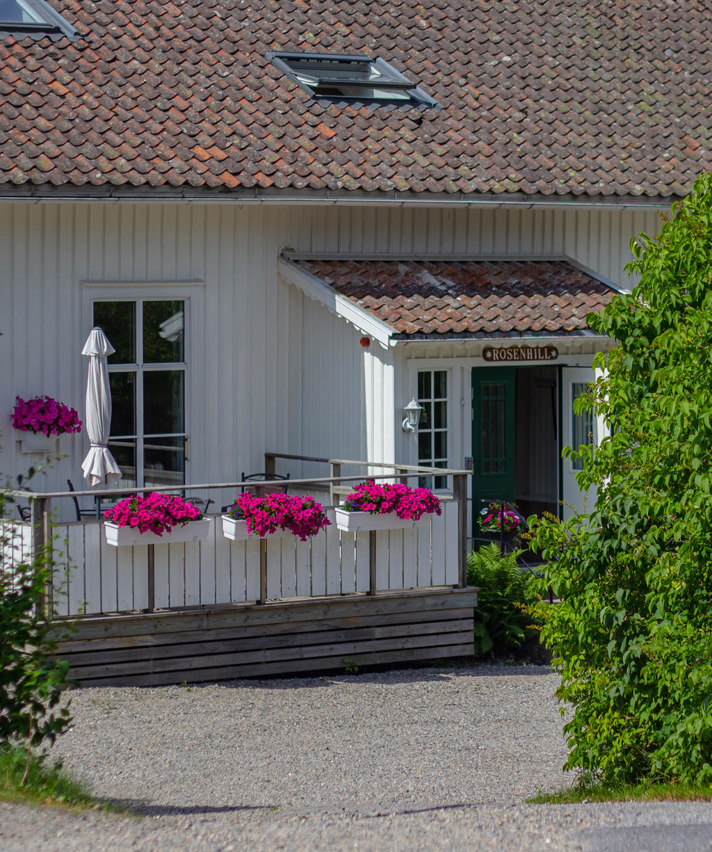 Sommar på Rosenhill.