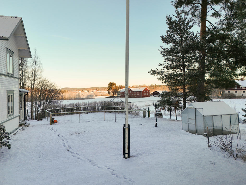 Tomt med växthus och plats för hundgård.