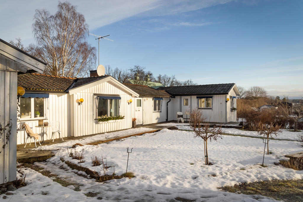 Grönskande trädgård