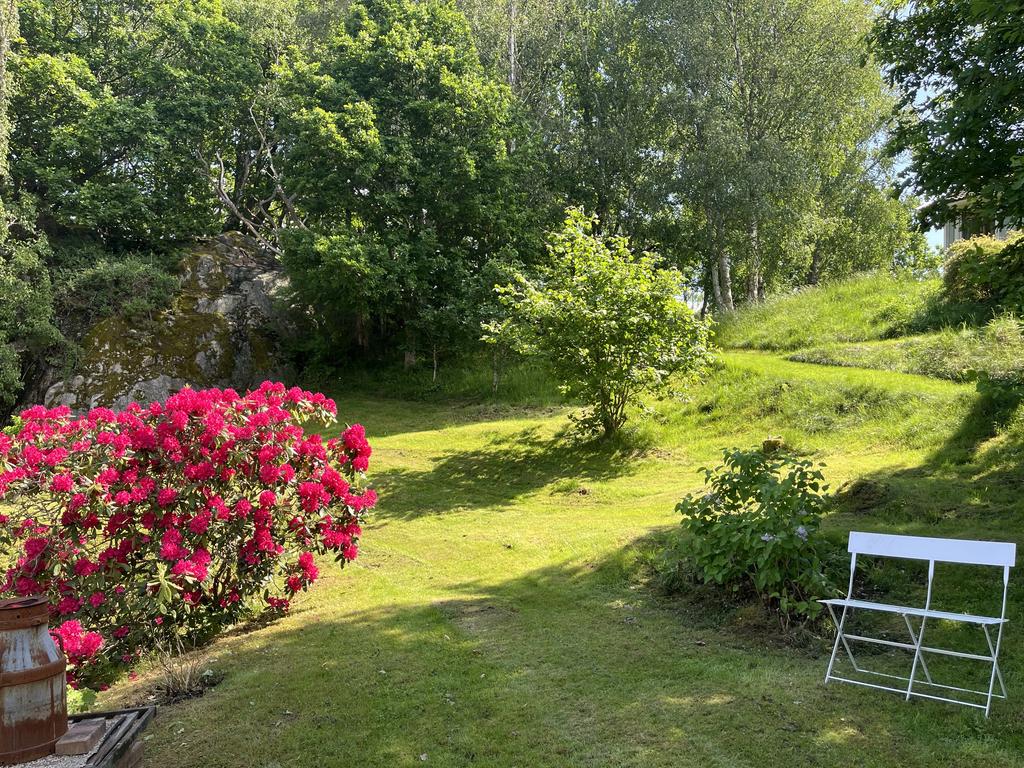 Säljarens sommarbild