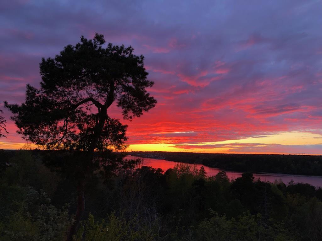 Säljarens bild