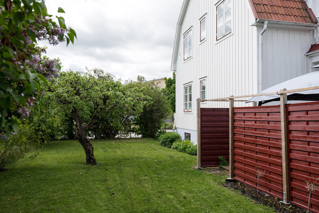 Trädgård.
