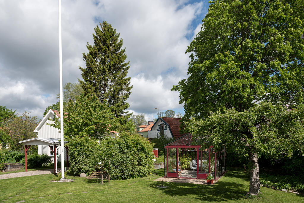 Trädgård.