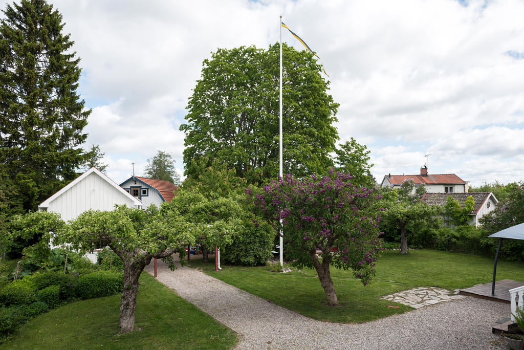 Trädgård.