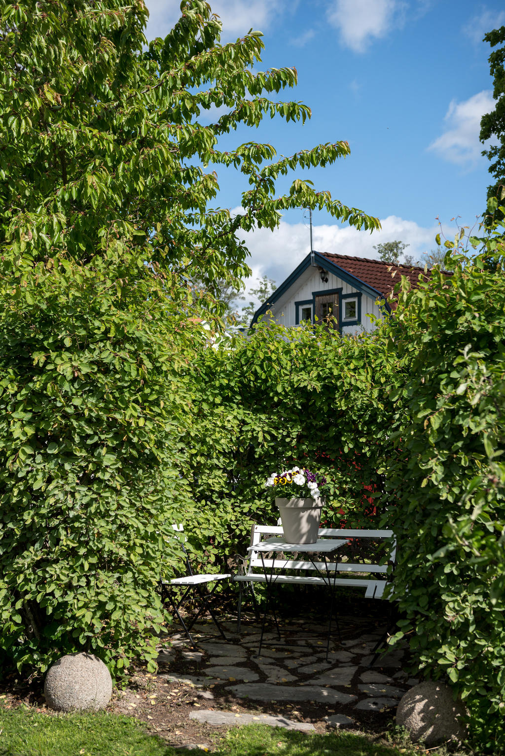 Trädgård.