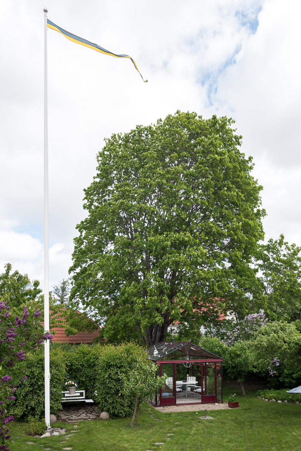 Trädgård.