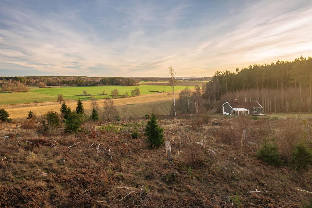 Vy från delar av fastigheten som står redo att börja nyttjas