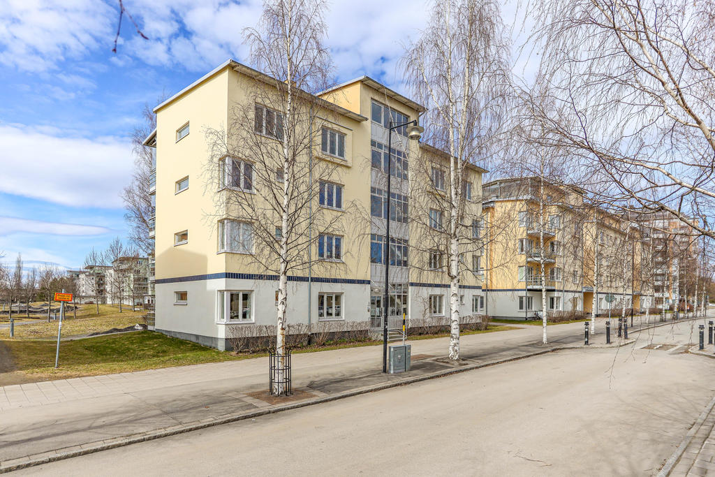 Exteriört