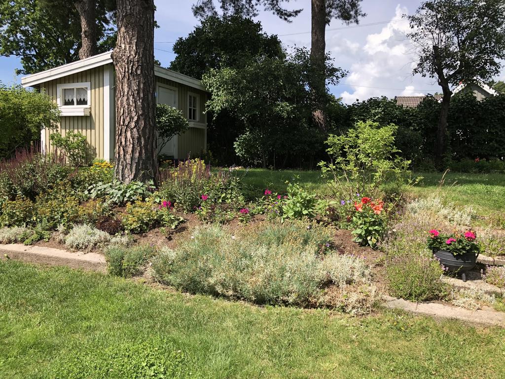 Säljarens sommarbild