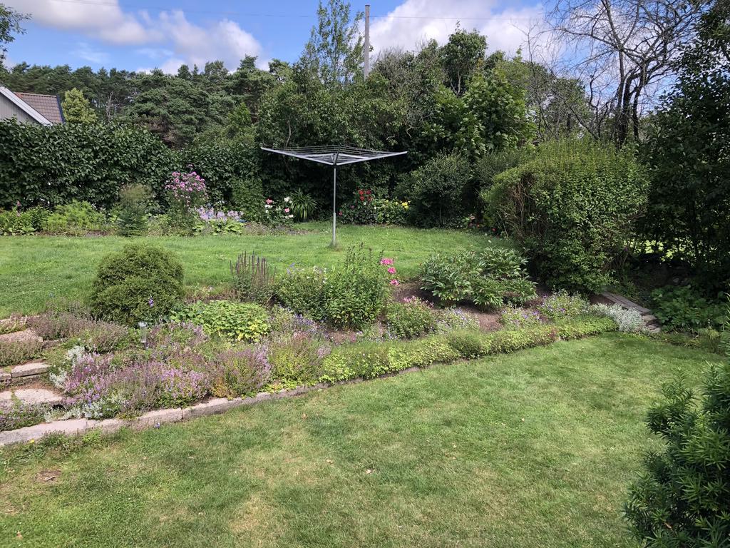 Säljarens sommarbild