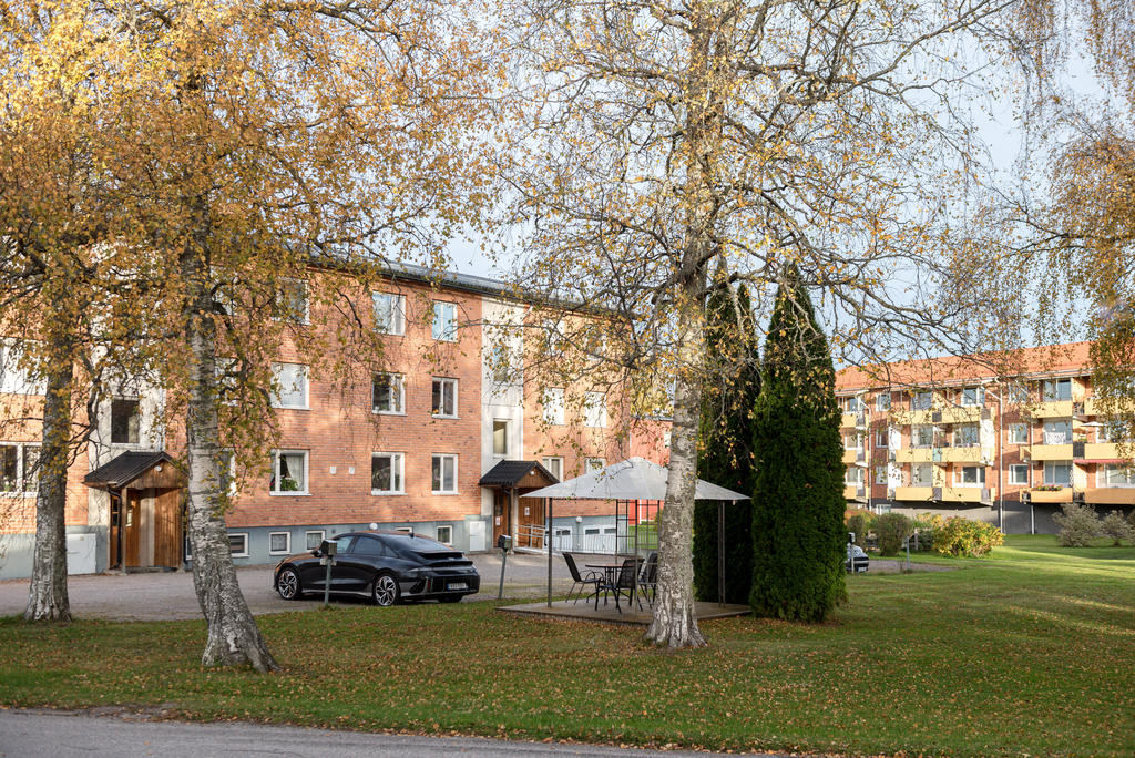 Björkvägen 3B.