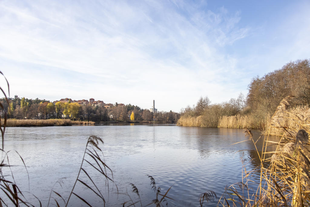 Råstasjön vid Arenastaden