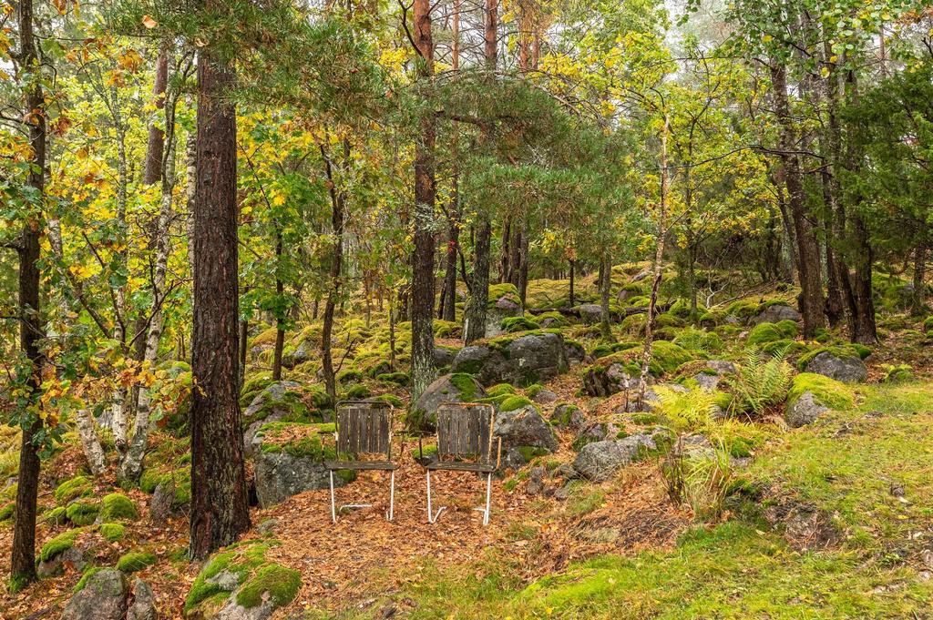 Trolska omgivningar