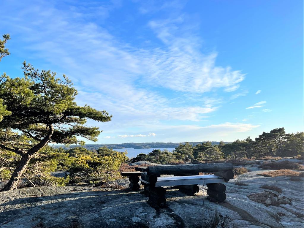Utsikt med grillplats på berget bakom husen. 
