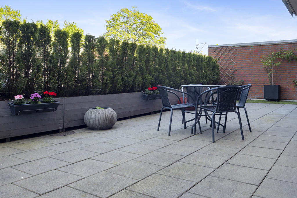 Stensatt terrass med tujahäck