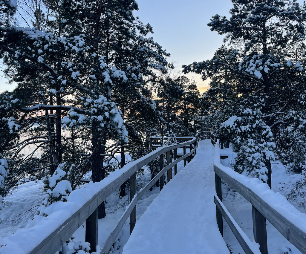 Områdebild - spången vid sankt Olofs gryta. 