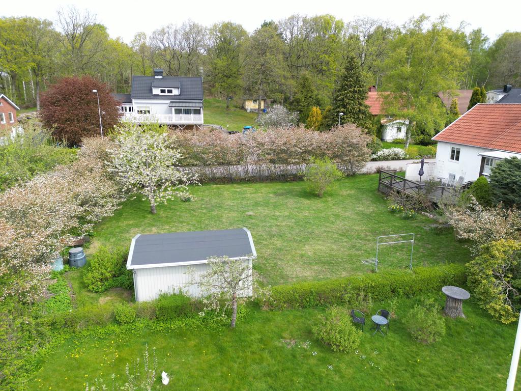 Tomten från söder