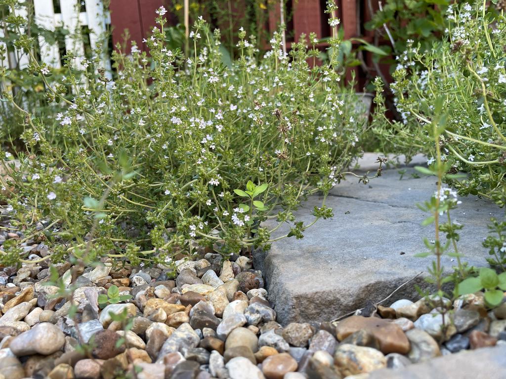 Säljarens sommarbild