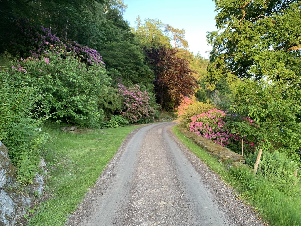 Säljarens egna bild