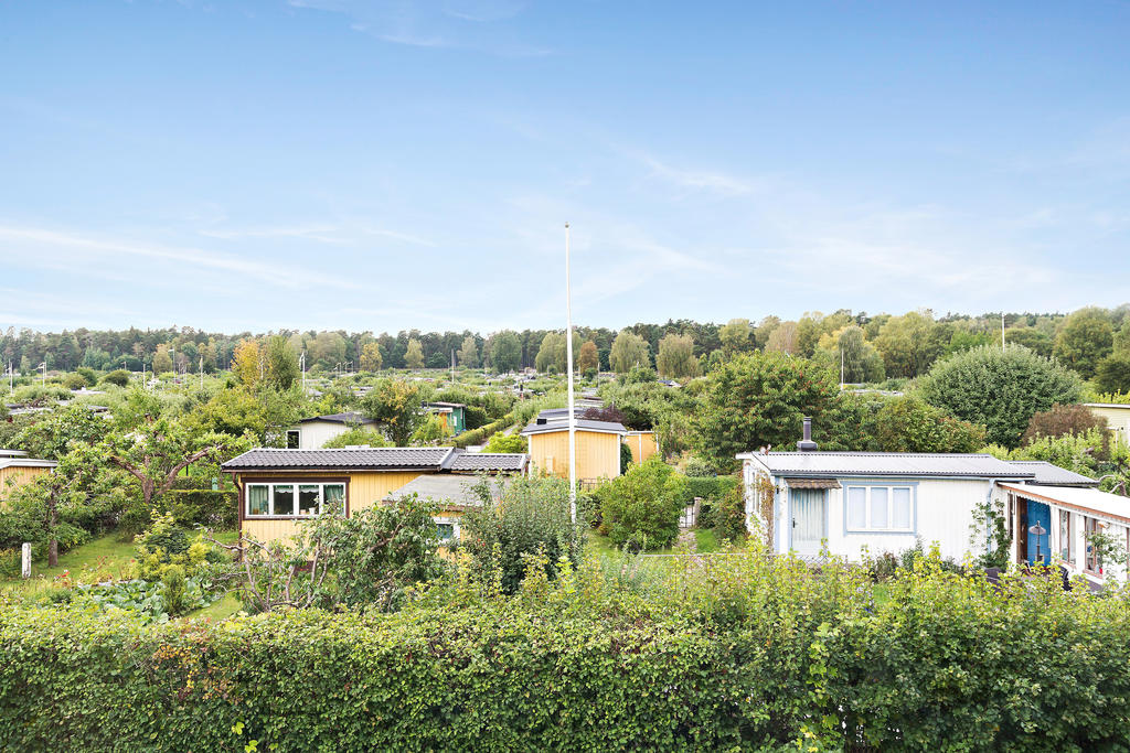 Sommarbild mot koloniområdet