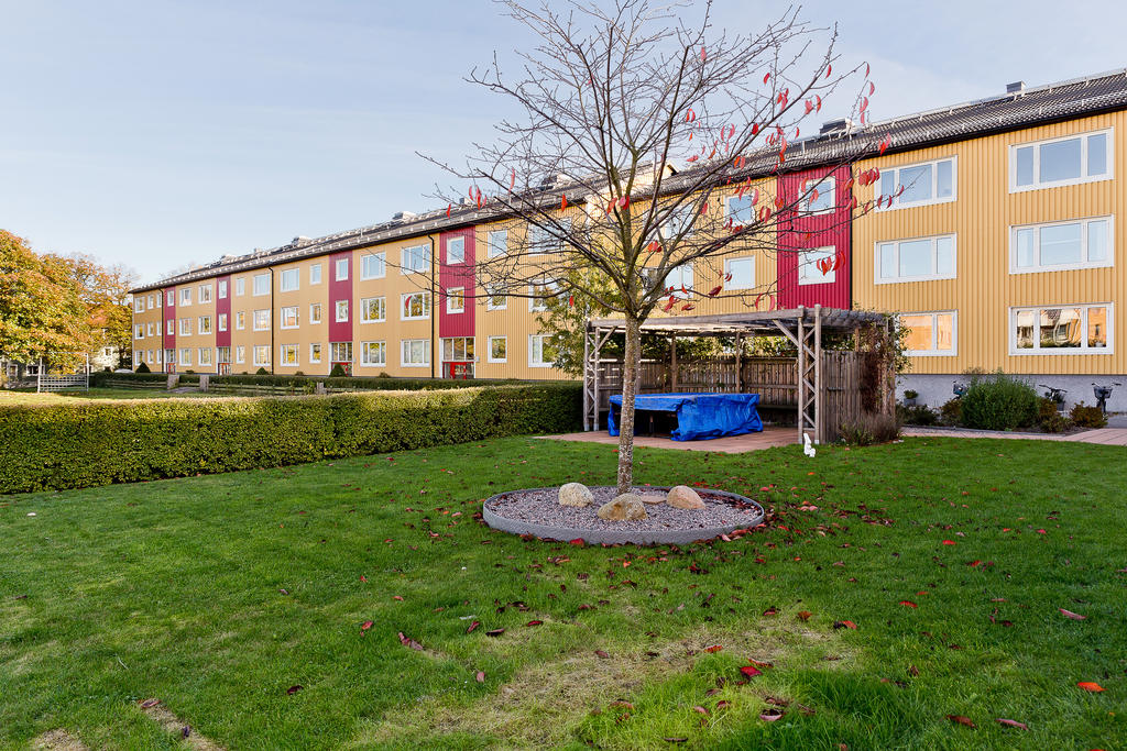Innergården. Bild tagen på hösten